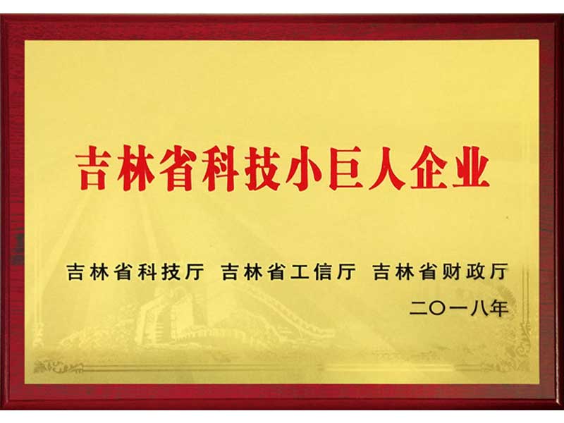 2018 Jilin Province Science and Technology Little Giant